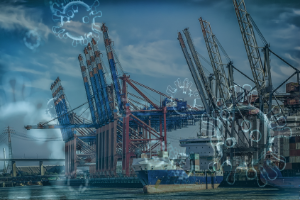 Building back better after COVID-19: the role of innovation and trade