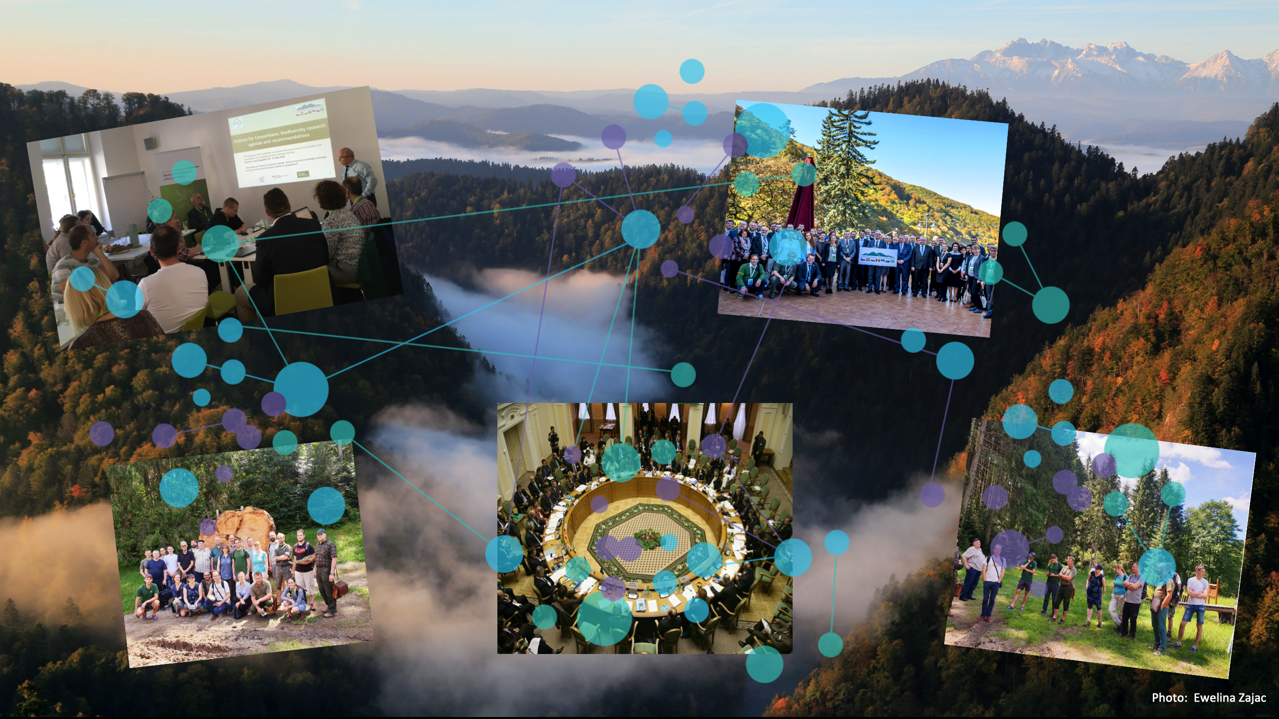 Image Carpathian ESD