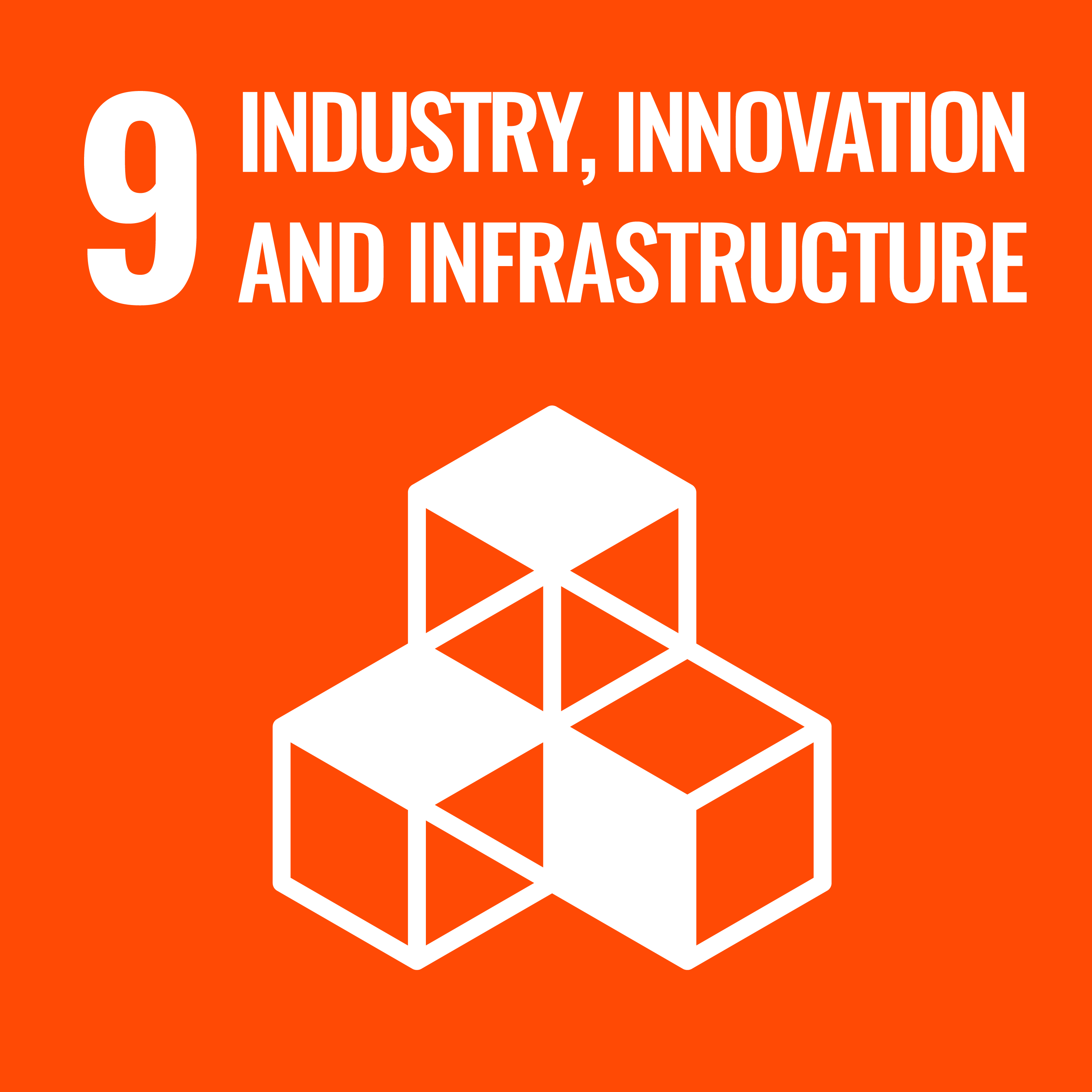 SDG 9 Logo