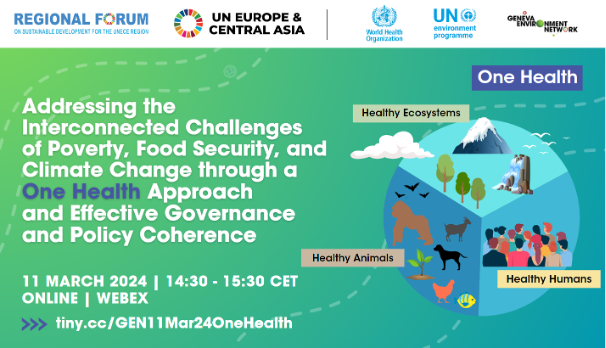 Addressing the interconnected challenges 